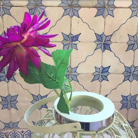 アパート Alfama Center リスボン